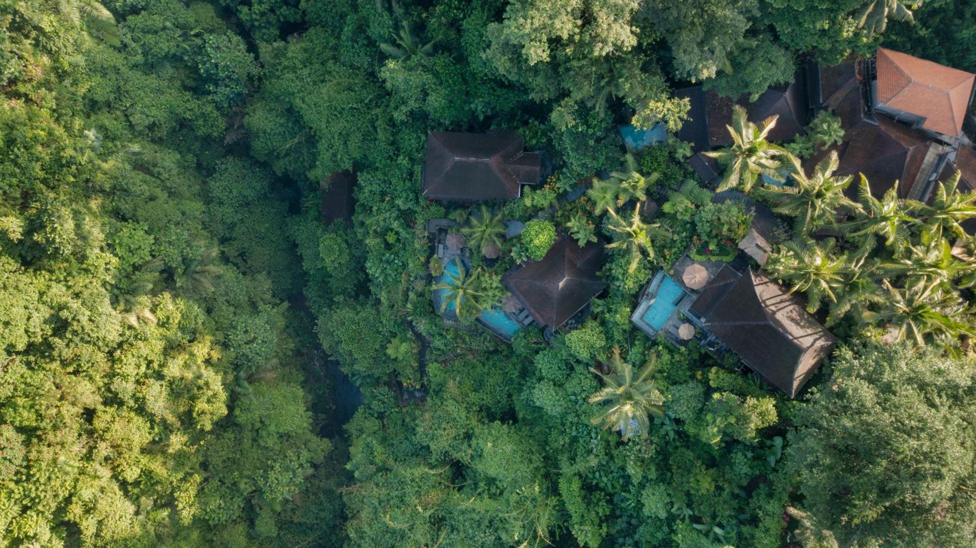Bidadari Private Villas & Retreat Ubud Exteriör bild