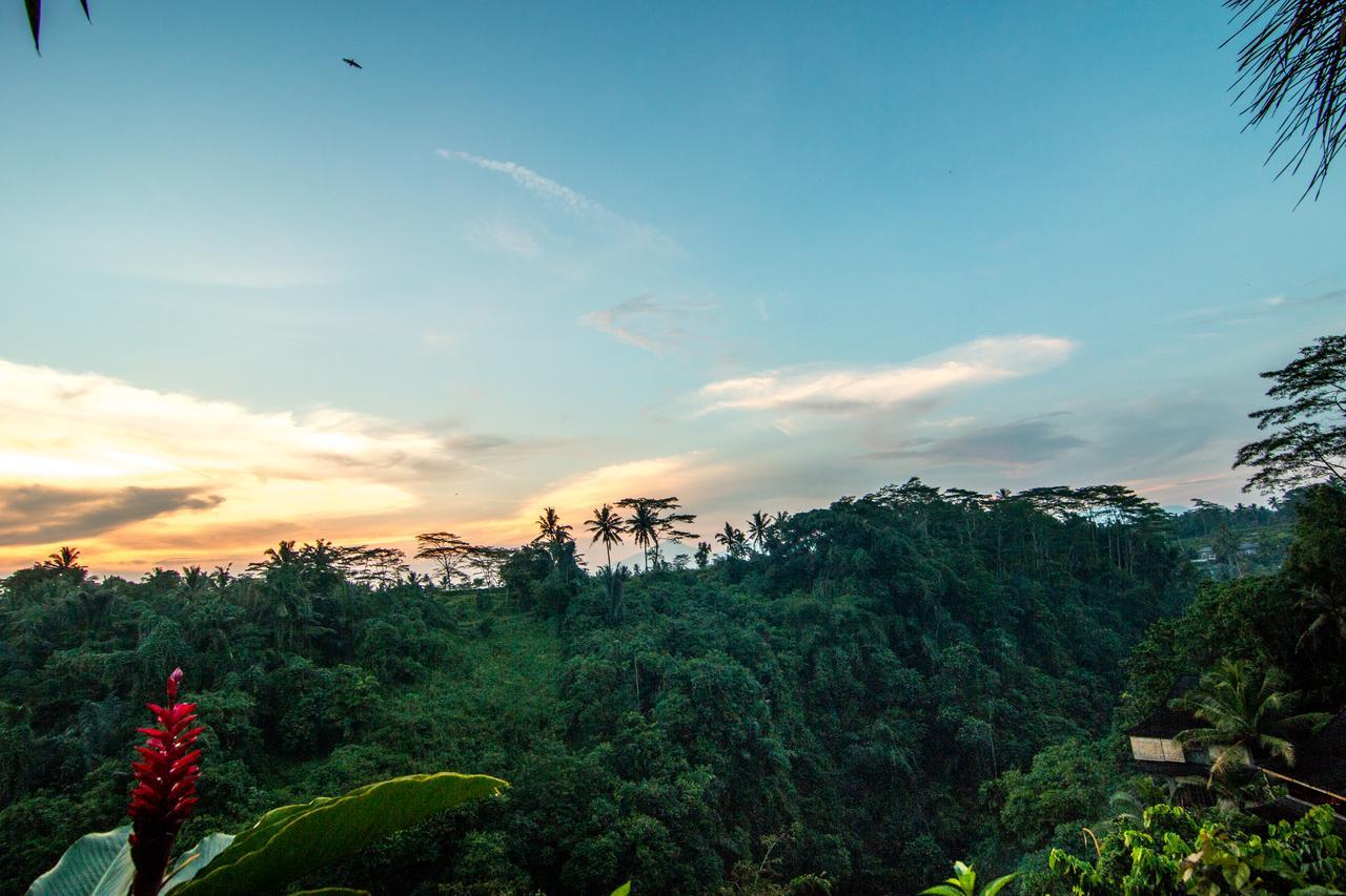 Bidadari Private Villas & Retreat Ubud Exteriör bild